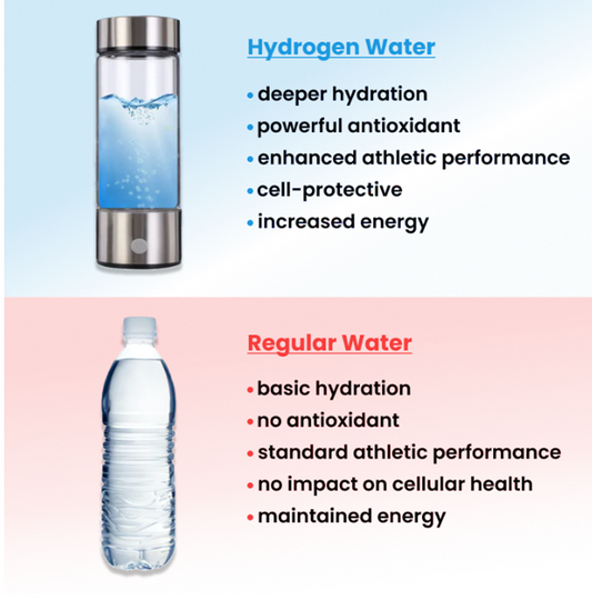HydroGenie Hydrogen Water Bottle